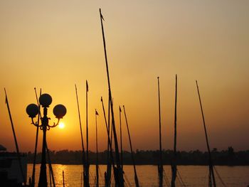 Silhouette plants by lake against sky during sunset