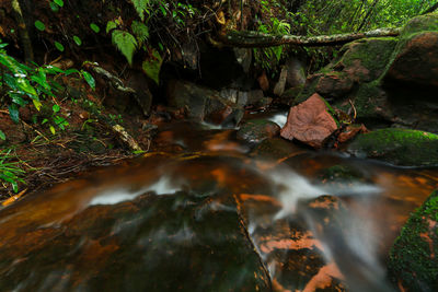 Stream flowing through rocks in forest