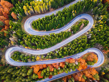 High angle view of street amidst trees in city