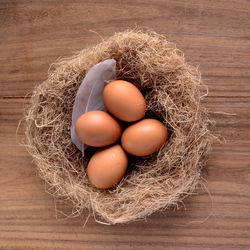 High angle view of eggs in container on table