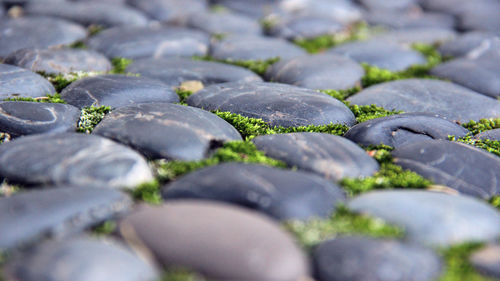 Full frame shot of water