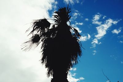 Low angle view of palm trees against cloudy sky