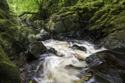 Scenic view of waterfall in forest