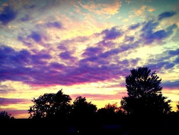 Silhouette of trees at sunset