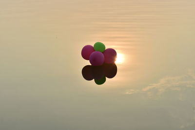 Multi colored balloons in sky during sunset