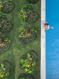 Aerial view of attractive woman floating over water at resort