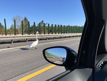 Car on road against clear sky