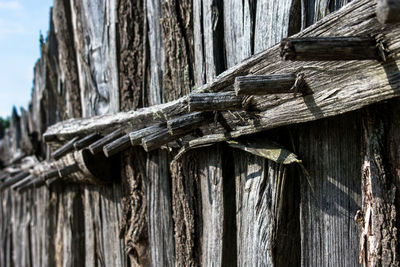 Low angle view of wood against sky