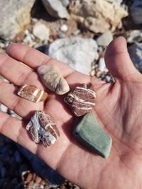 Cropped hand holding stones at beach