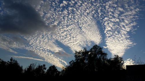 Low angle view of silhouette trees against sky