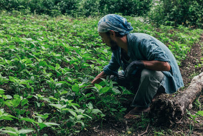 Side view of man working on field