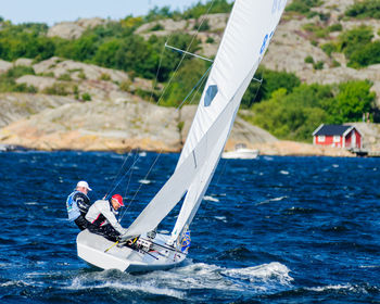 Reflection of trees in sea