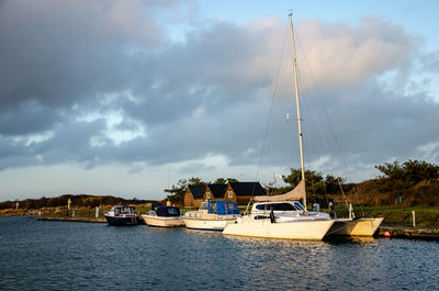 Sailboats moored in marina