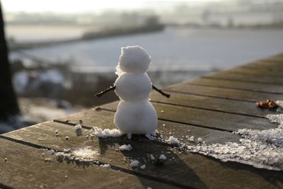 Little snowman, watching the landscape