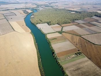 High angle view of agricultural field