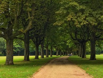 Road amidst trees