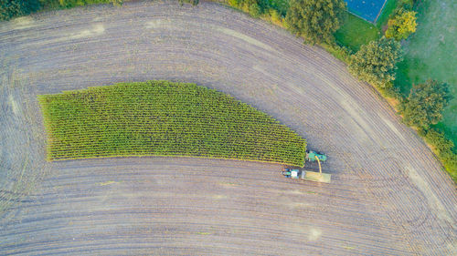 Aerial view of agricultural field