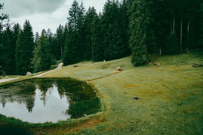 Scenic view of lake in forest against sky