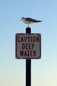 Low angle view of birds on pole