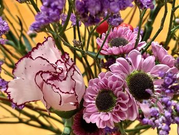 Close-up of flowers