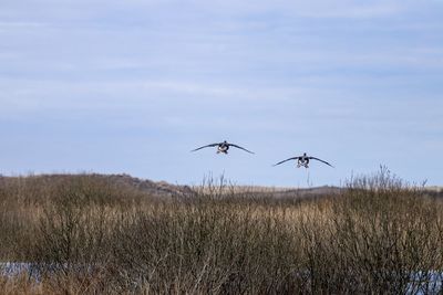 Scenic view of land against sky