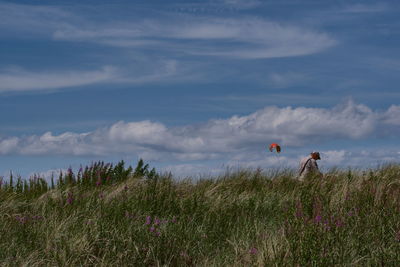 Scenic view of grassy field against sky