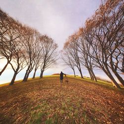 tree