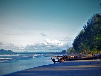 Photo of hamadi beach. hamadi beach is one of the attractions in the city of jayapura. papua