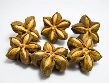 Close-up of food against white background