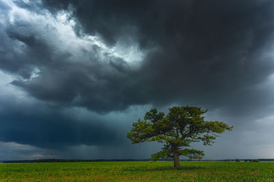 Tree on field against storm clouds