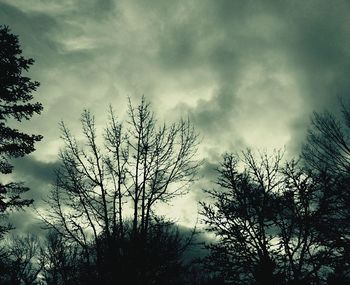 Low angle view of bare trees against cloudy sky