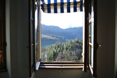 View of trees through window