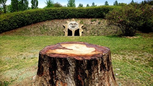 Wooden post on tree stump in field