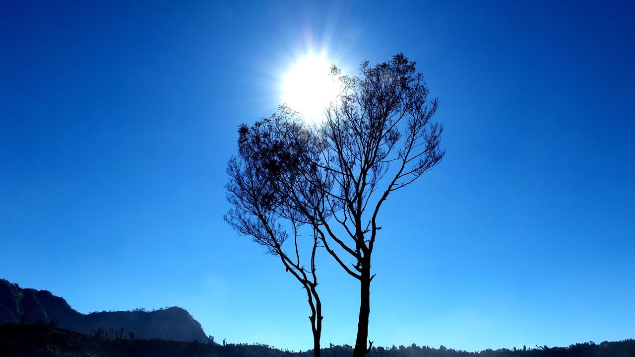 Padang Savana Gunung Bromo