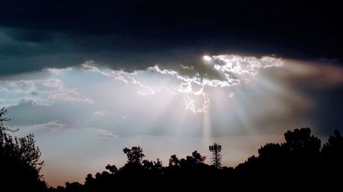 Low angle view of silhouette trees against sky at night