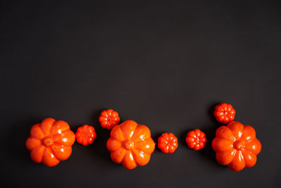 Close-up of cherries against black background