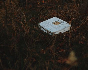 Close-up of paper on field