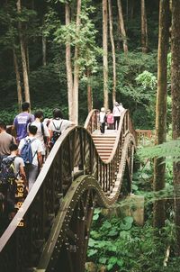 People on bridge in forest