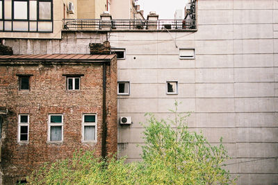 Green trees against urban buildings