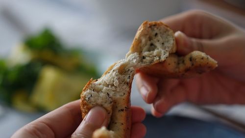 Close-up of hand holding crab