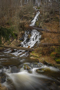 Scenic view of waterfall in forest