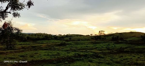 Scenic view of landscape against sky during sunset