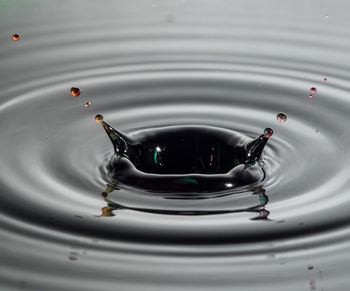 Close-up of water drop splash