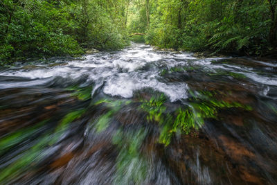 Stream flowing through rocks in forest