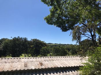 Trees on roof against clear sky