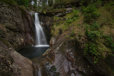 Scenic view of waterfall in forest