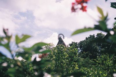 Close-up of butterfly on plant against sky
