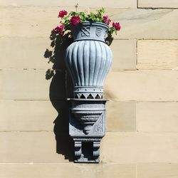 Close-up of flower against wall
