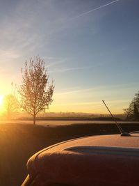 Close-up of tree by sea against sky