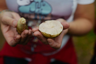 Close-up of hand holding leaf